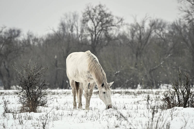 1/19～1/25大寒「轉運關鍵」就差這一步！ 3生肖自帶好命體質