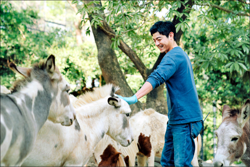 王柏傑在《動物園》中飾演資深保育員，在人與動物的互動中重新思考生命的意義與價值。（Disney+提供）