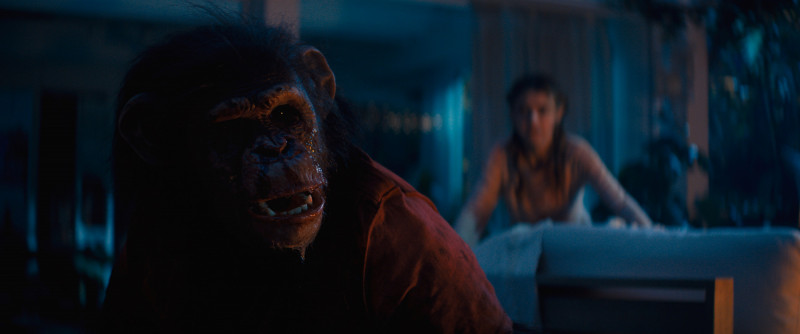 恐怖片《猩瘋血雨》描述原本溫馴的猩猩家人，因感染狂犬病失控暴走。（UIP提供）