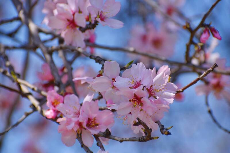 12生肖流年的刑、沖、害各有不同，「立春吉利金」的存法和金額也不盡相同。（達志影像）