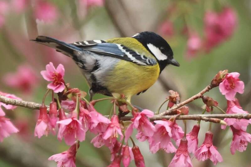 早睡早起身體好 立春4生肖注意健康