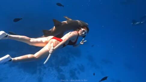 白雲轉行當潛水教練。（翻攝自IG）