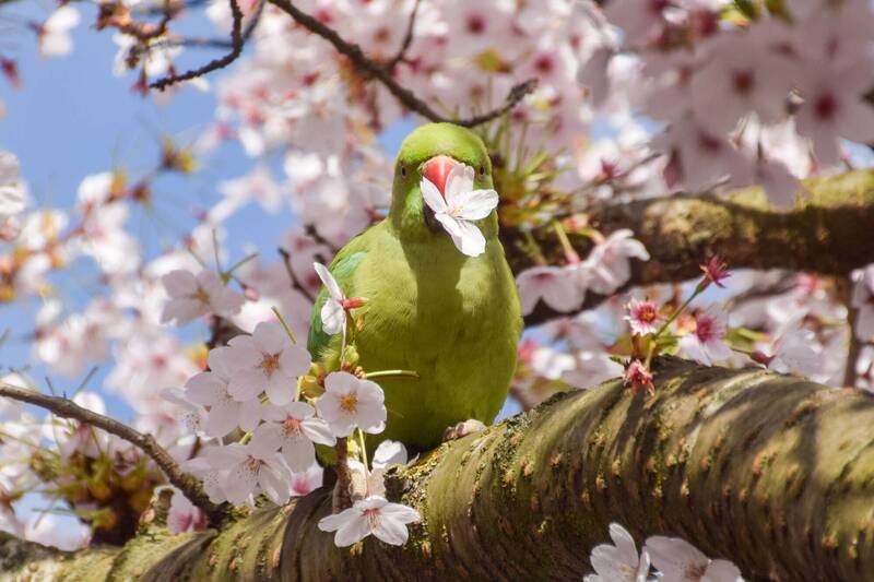 【2/9～2/15星座錦囊】蛇年期末考週！唯美濾鏡下「正、偏財齊飛」要抓對