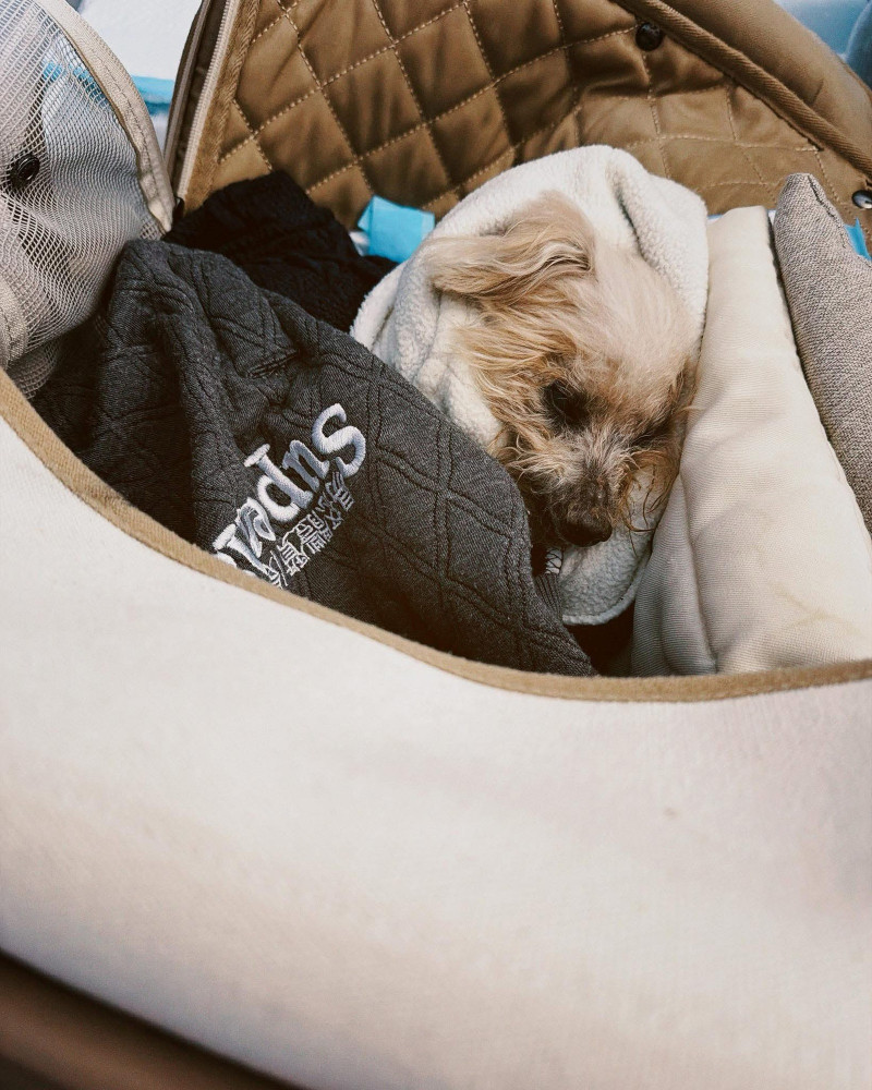 曾莞婷改班機趕回家淚別Bubu。（翻攝自臉書）