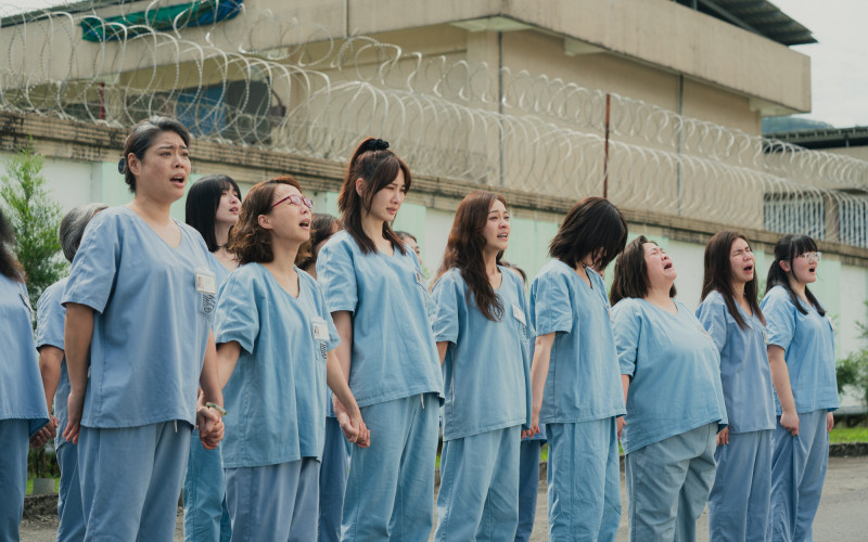 就是今天！《陽光女子合唱團》改寫紀錄 登頂台灣影史台片票房冠軍