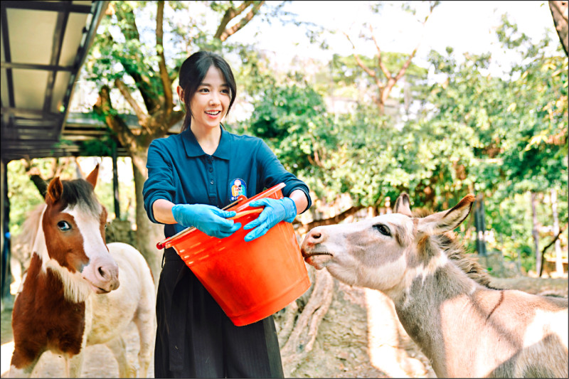 邵雨薇主演以壽山動物園為背景的影集《動物園》。（Disney+提供）