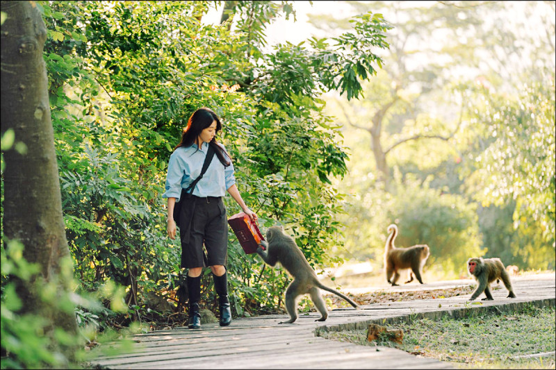邵雨薇在《動物園》被猴群包圍，互動可愛。（Disney+提供）