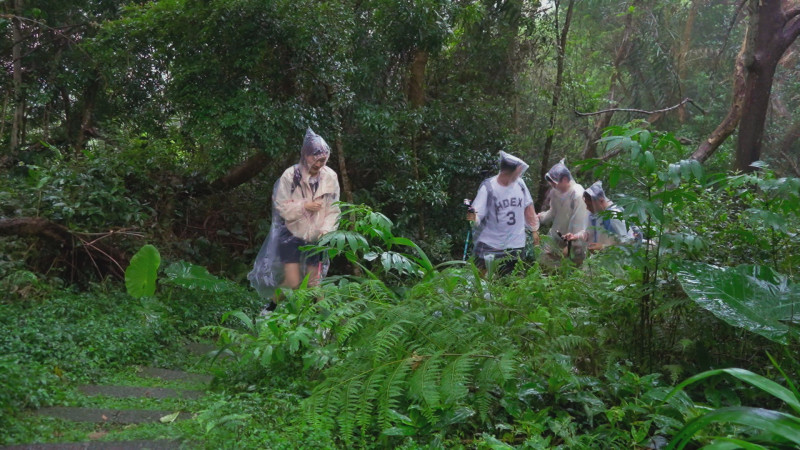 細細山路小隊在山中遇到颱風級暴雨。（客家電視台提供）