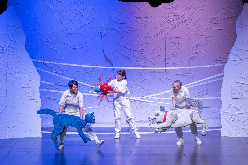 《好忙的蜘蛛》選擇台北站作為亞洲巡演的第一站。（愛樂愛城、環心娛樂提供）