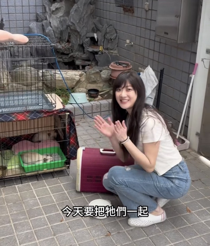 林逸欣撿到3隻幼貓。（翻攝Threads）