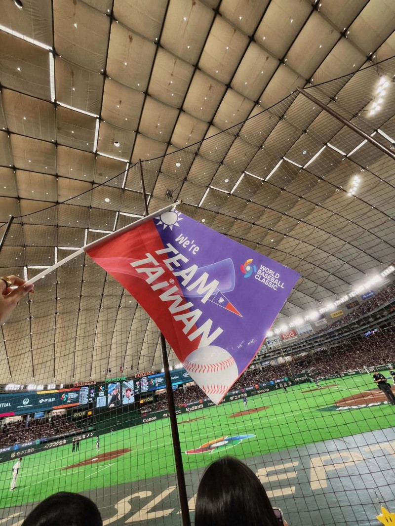 費仔老婆哈娜曬出TEAM TAIWAN的旗幟。（翻攝自IG）