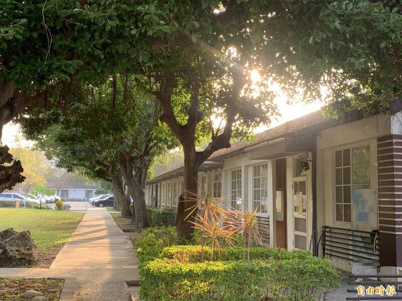 春分將至  3生肖運勢旺 財運、事業、桃花全來了