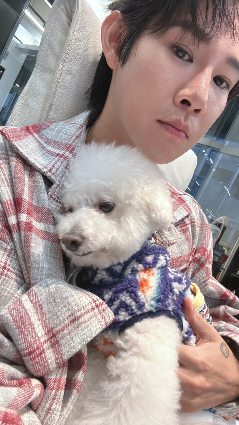 夏和熙愛犬一度命危 隨時做好告別準備