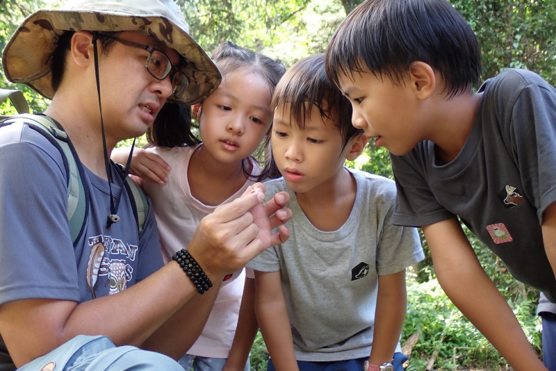 帶小孩走進大自然探索的公視臺語台《趖來趖去3隻蟲-臭芳臭芳ê屎金龜》（公視臺語台提供）