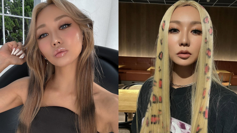 台灣好媳婦懷孕了！倖田來未暌違14年懷二胎