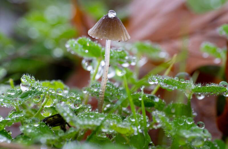 清明節氣「洗磁場」！12生肖「黃金15天」轉身變強運