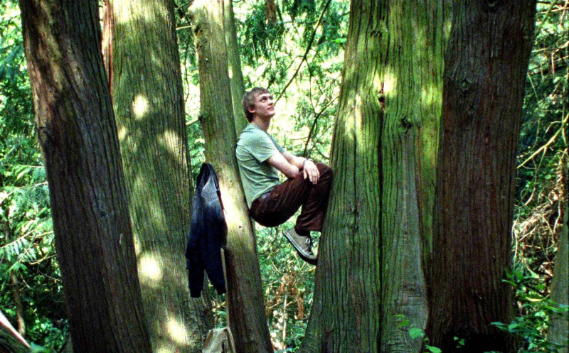 為愛半夜澆花！德男「樹系男友」爆紅被封：最浪漫工具人