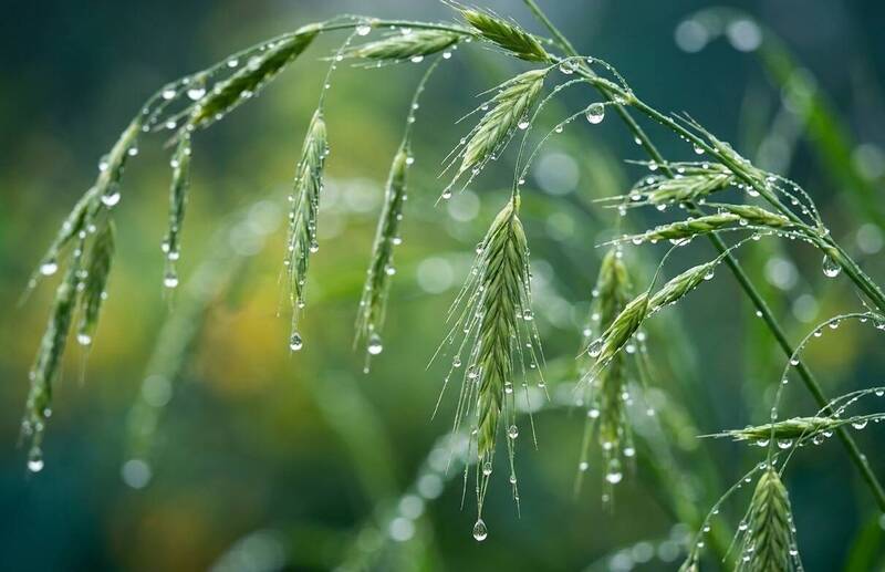 接穀雨6運大洗牌！3生肖「財官雙美」、5生肖「換軌」強運當頭