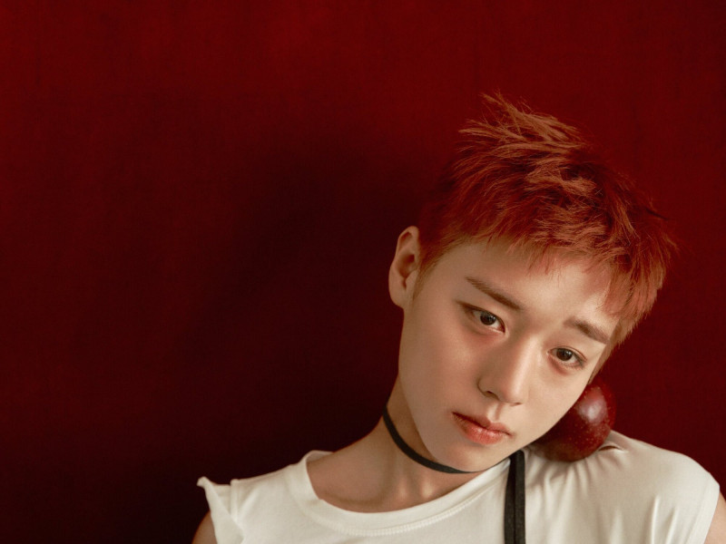 Wanna One朴志訓形象大洗牌！概念照藏訊號