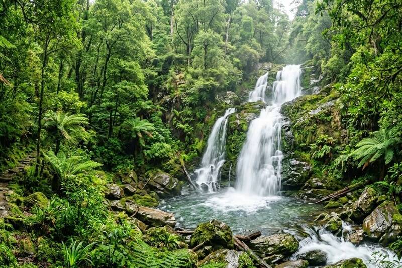 農曆3月「財庫月」提前布局！12生肖轉運大補帖一次看