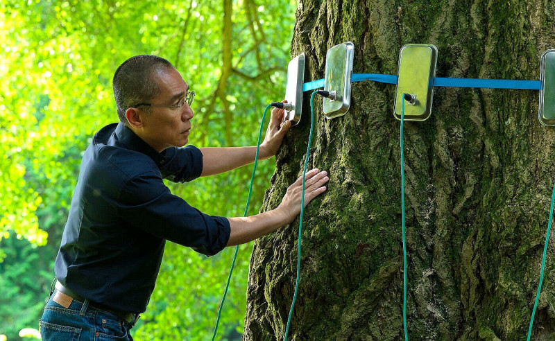 （專題）國際影帝梁朝偉今來台！解構征服影迷神之「眼」技關鍵