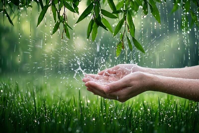 穀雨財水怎麼接？12生肖「正財、偏財、漏財」一次看