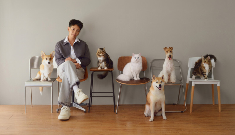 柯震東拋喜訊宣布「新身分」 痛失2愛犬成轉折…跨界入主寵物界不想再有無助感