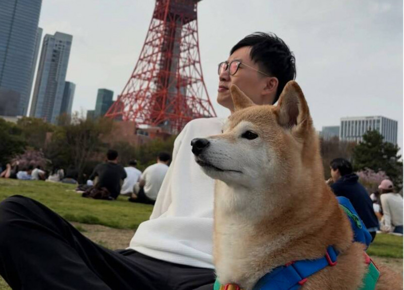 日本7.5強震狂搖！視網膜15樓嚇慘「搖超久」 愛犬反應笑翻全網