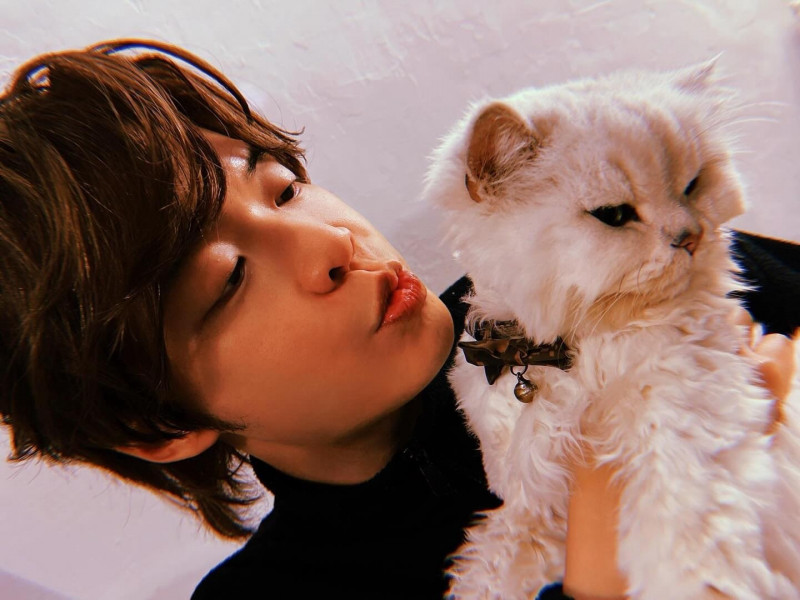 摯愛久病離世！阿璞心碎悲吐人生「三大痛苦」