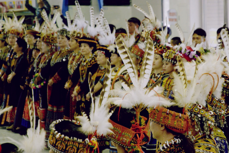 拍一隻鳥花12年！導演揭「最神祕猛禽」真面目