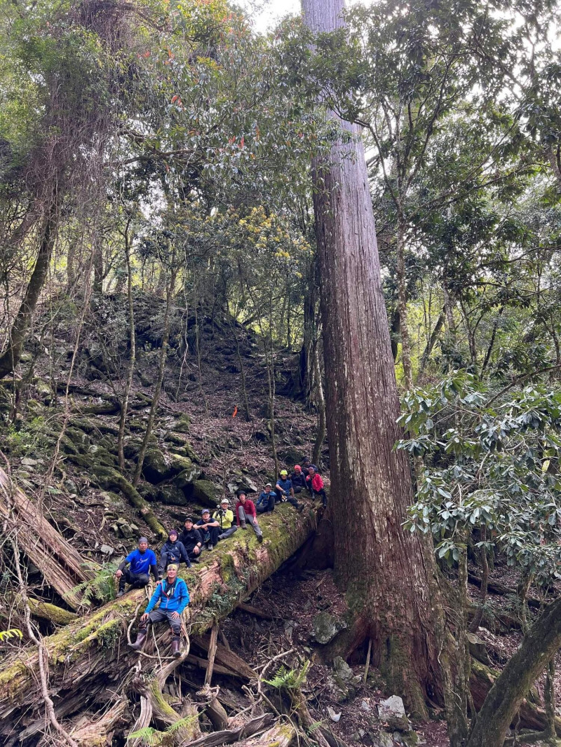台灣第二高樹卡阿郎巨木前大合照。（神木之島提供）
