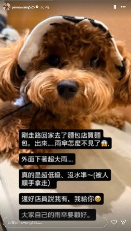 王思平抱怨偷傘賊：超低級、沒水準。（翻攝自IG）