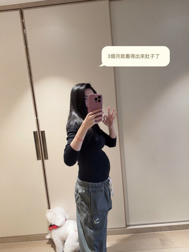 愷樂曬三個月孕肚。（翻攝自IG）