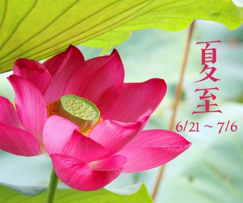 一直流汗、嘴破?夏至引爆心火燥 名師傳授「吐舌40秒」消暑神招