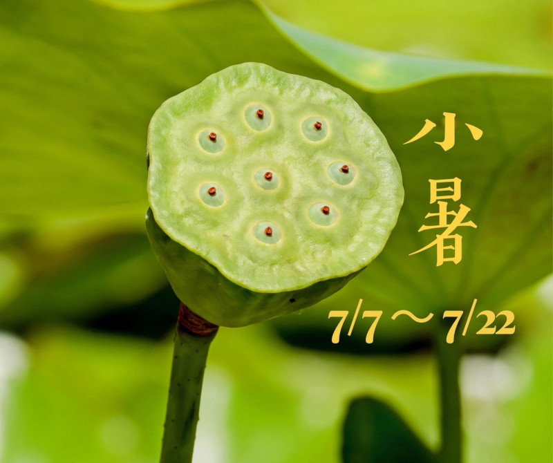 皮膚長疹子別慌!名師揭「排毒」關鍵:敲打這裡加速代謝脾經濕氣