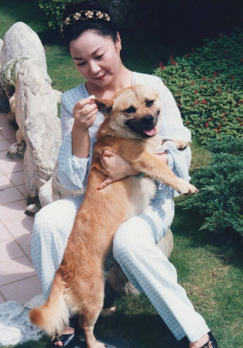 白冰冰揭費玉清暖舉!驚曝兩人「愛的結晶」藏洋蔥