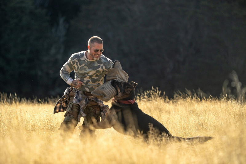 布萊德彼特讚「牠才是主角」!《野獸之心》攜軍犬荒野求生曝感人預告