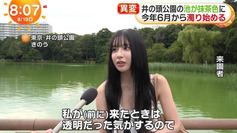 富士電視台針對東京井之頭公園池塘優養化進行路人採訪。（翻攝自X）