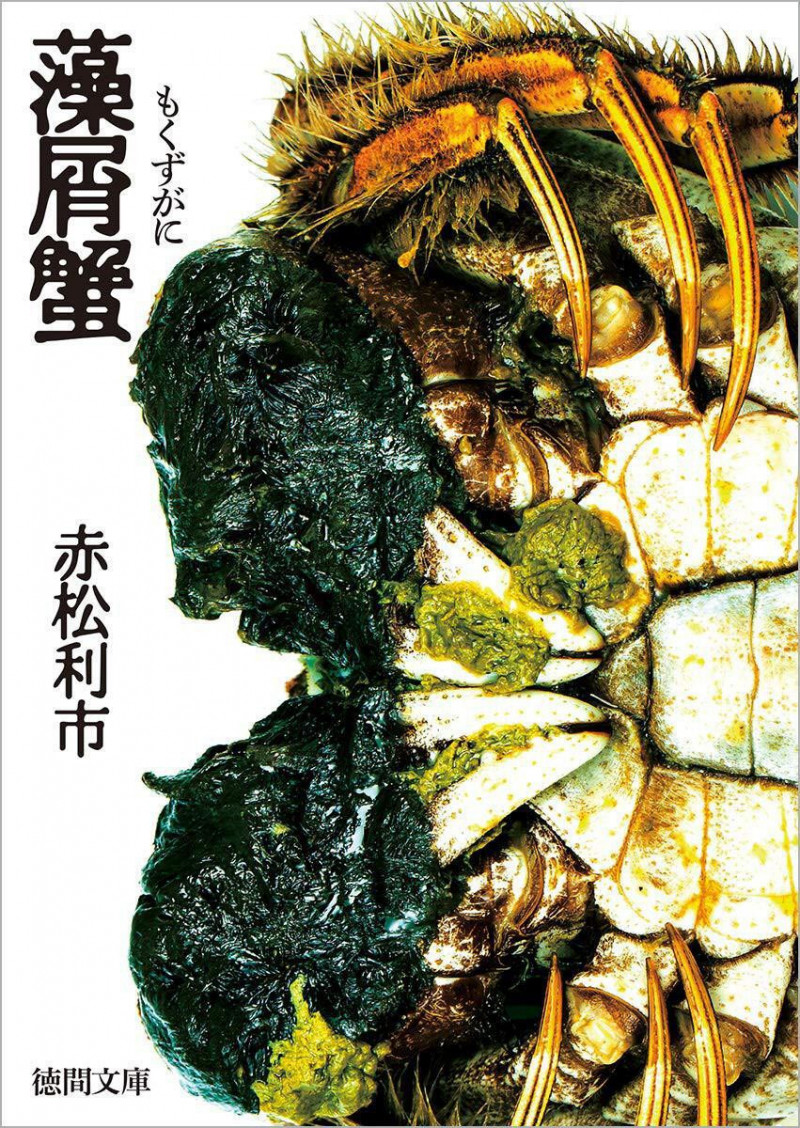 台灣劇組小心了!岩井俊二新片未拍先夭折 原因太扯