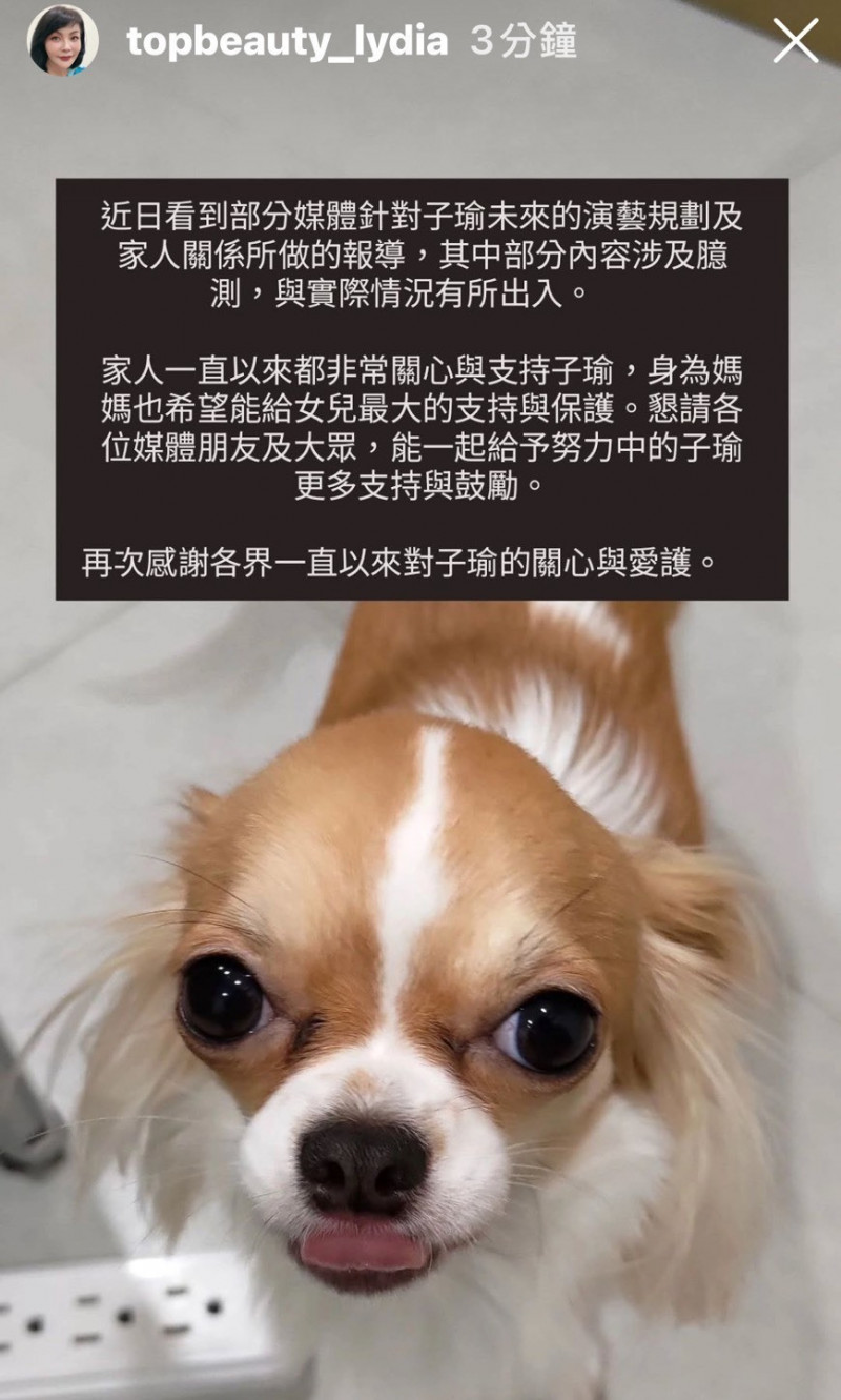 子瑜媽媽黃燕玲發限動回應近日新聞風波。（翻攝自IG）