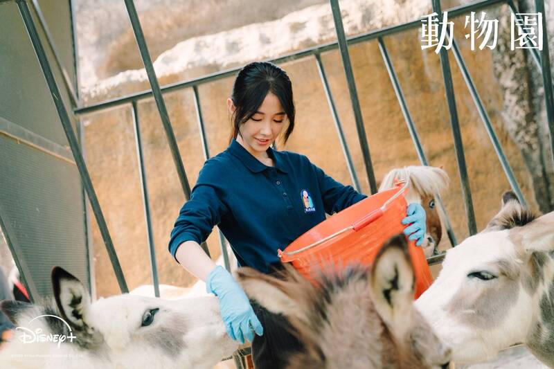 邵雨薇憑台劇《動物園》一舉入圍「戲劇節目女主角獎」。(資料照,Disney+提供)