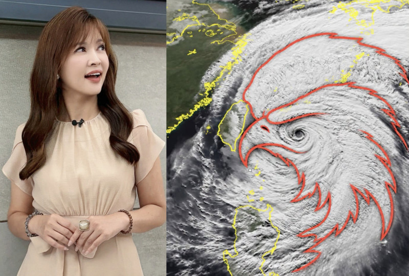 薔琵狠盯台灣!氣象主播王淑麗驚揭「颱風像老鷹」 示警真正可怕威脅