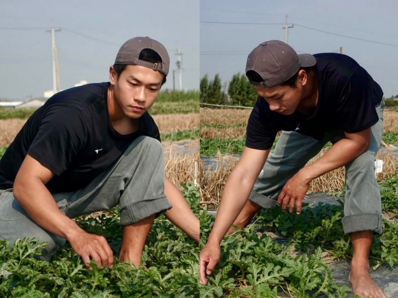 青農網紅業配拼多多遭轟「雙標」 林柏賢反嗆再掀戰火