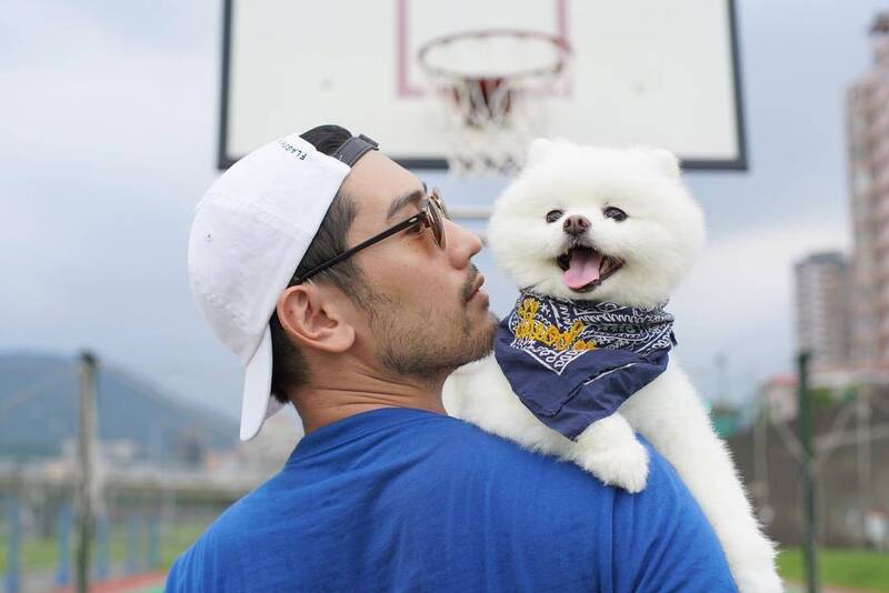 高以翔愛犬Theo上天堂找爸爸 家人貼文令人鼻酸