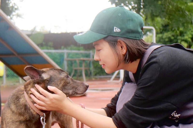 米可白心疼流浪狗 喊話農業部介入新竹狗園案