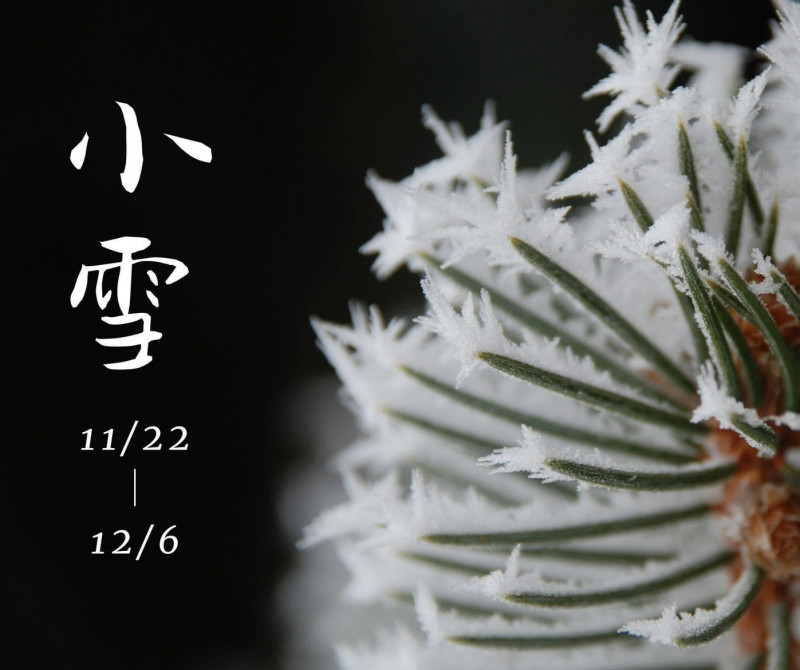 小雪極陰節氣 升陽招術看這裡