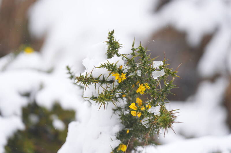「冬至」日月雙星交輝！12星座「財福雙收」靠這招