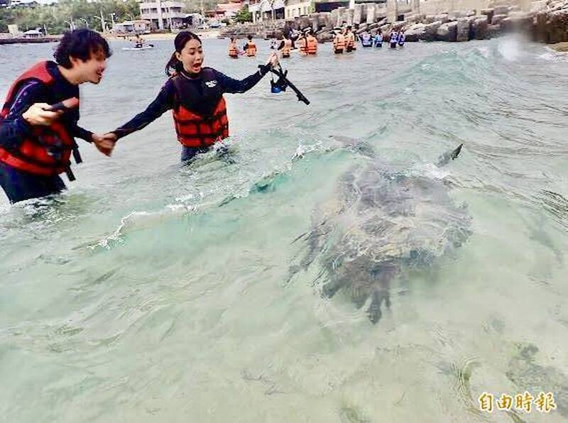 國旅一落千丈 苦苓中肯揭背後主因