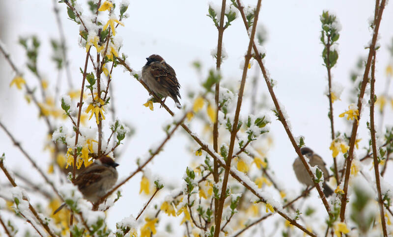 2/4立春「關鍵2小時」！ 7類人「躲春」4件事別做