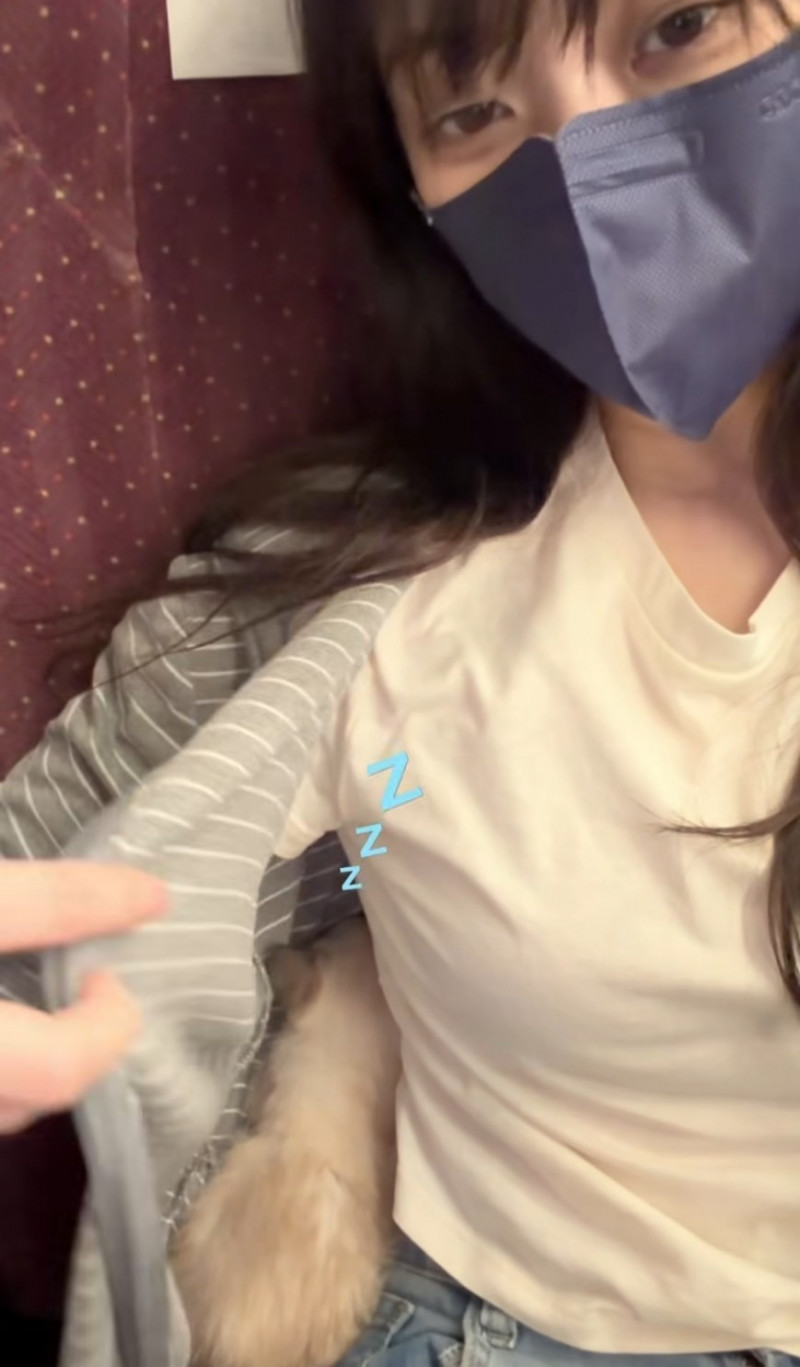 林逸欣送養挨轟！高鐵放出貓咪惹議 火速道歉發聲了